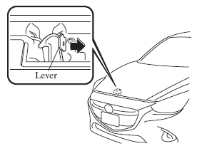 Opening the Bonnet